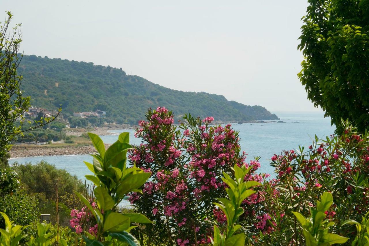 Secret Paradise Villas Loutra Elevtheron المظهر الخارجي الصورة